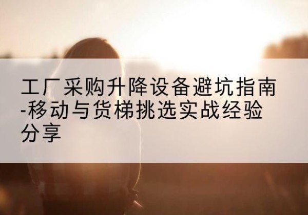 武川移动式升降机怎么选-工厂采购升降设备避坑指南-移动与货梯挑选实战经验分享