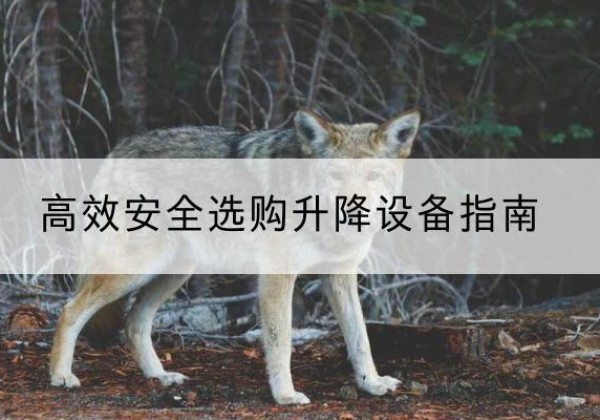 武川升降货梯厂家推荐-*安全选购升降设备指南