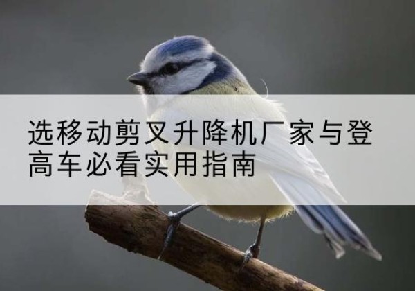武川电动升降机厂家-选移动剪叉升降机厂家与登高车必看实用指南