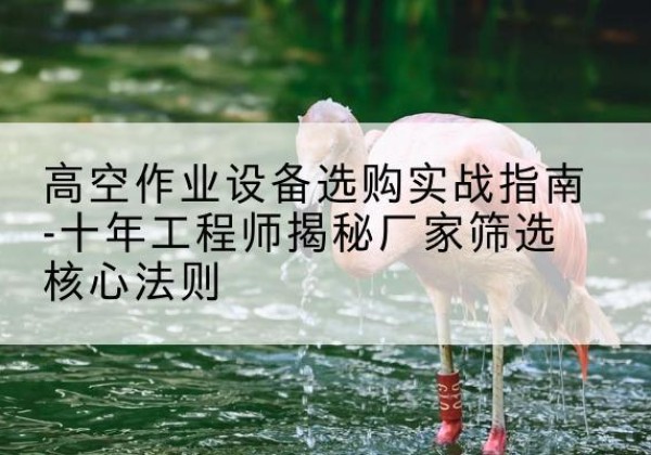 武川剪叉式升降机厂家-高空作业设备选购实战指南-十年工程师揭秘厂家筛选核心法则